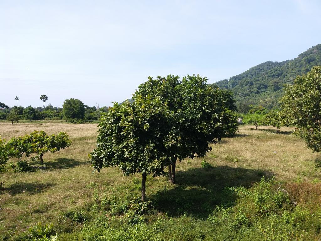 ホテルKhmer House Bungalow ケップ エクステリア 写真