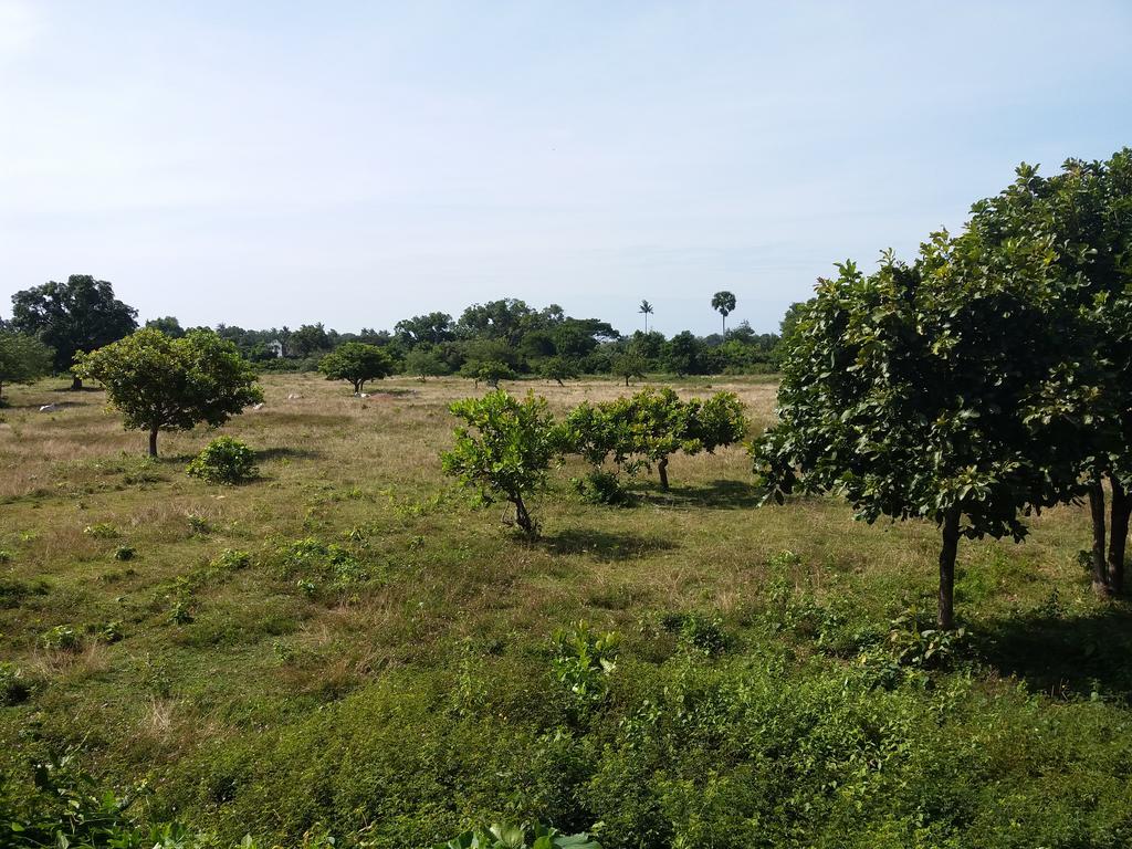 ホテルKhmer House Bungalow ケップ エクステリア 写真