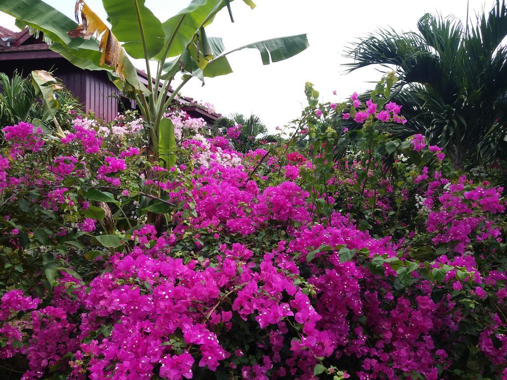 ホテルKhmer House Bungalow ケップ エクステリア 写真